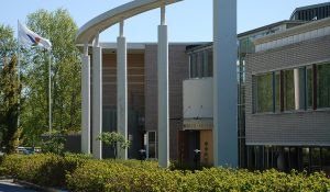 Betonipilareita toimipisteen pihalla